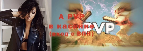 стаф Белоозёрский