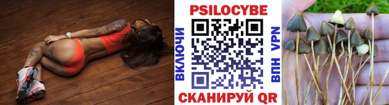 сайты даркнета наркотические препараты  Кстово  Псилоцибиновые грибы Psilocybine cubensis 